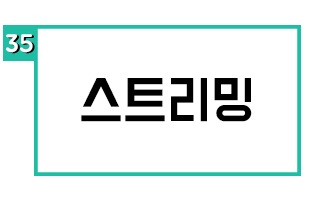 스트리밍