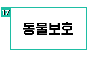 동물보호